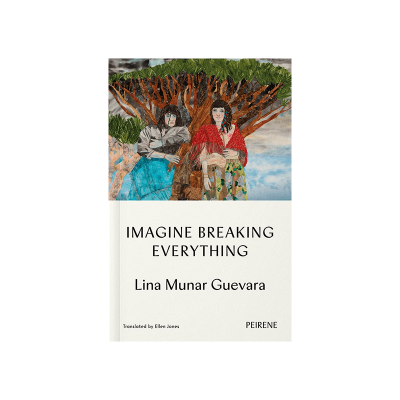 Imagine Breaking Everything by Lina Munar Guevara